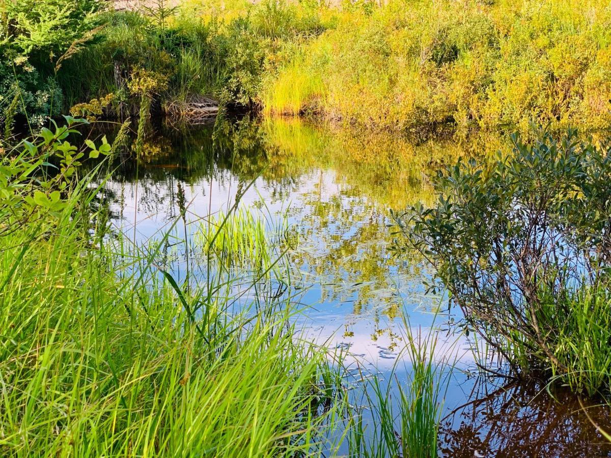 Queensport Eagle Valley Cottages מראה חיצוני תמונה